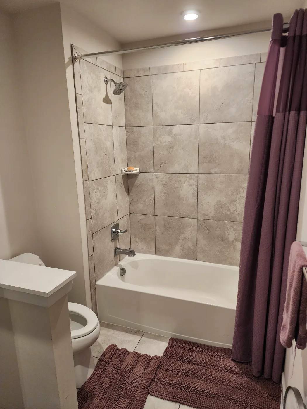 Tub, tile and shower cleaned